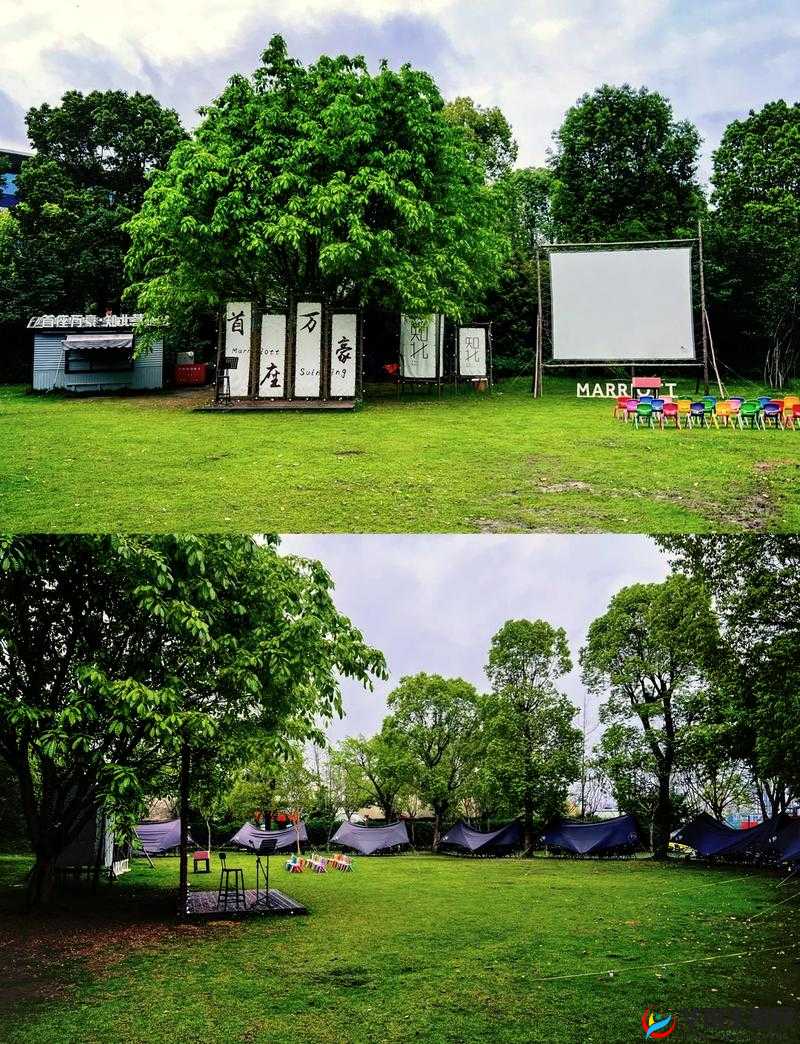 玩了才真正爱上：一场别样的体验之旅