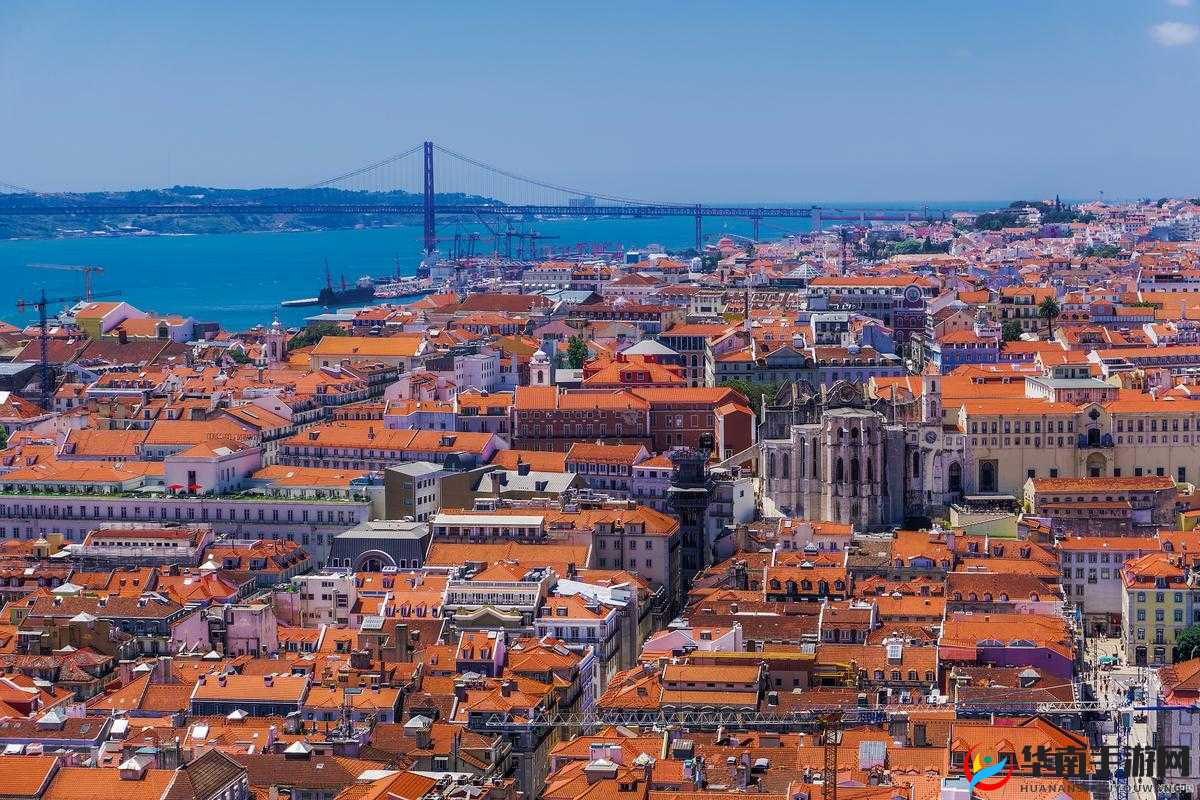 男人天堂新:一个充满魅力与精彩的独特世界