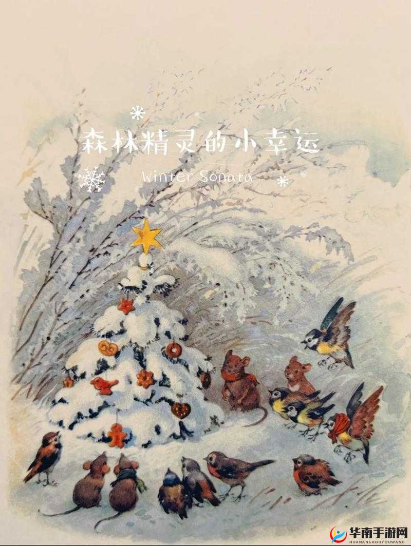 宅女的洞天福地：一个充满温馨与欢乐的私密小世界