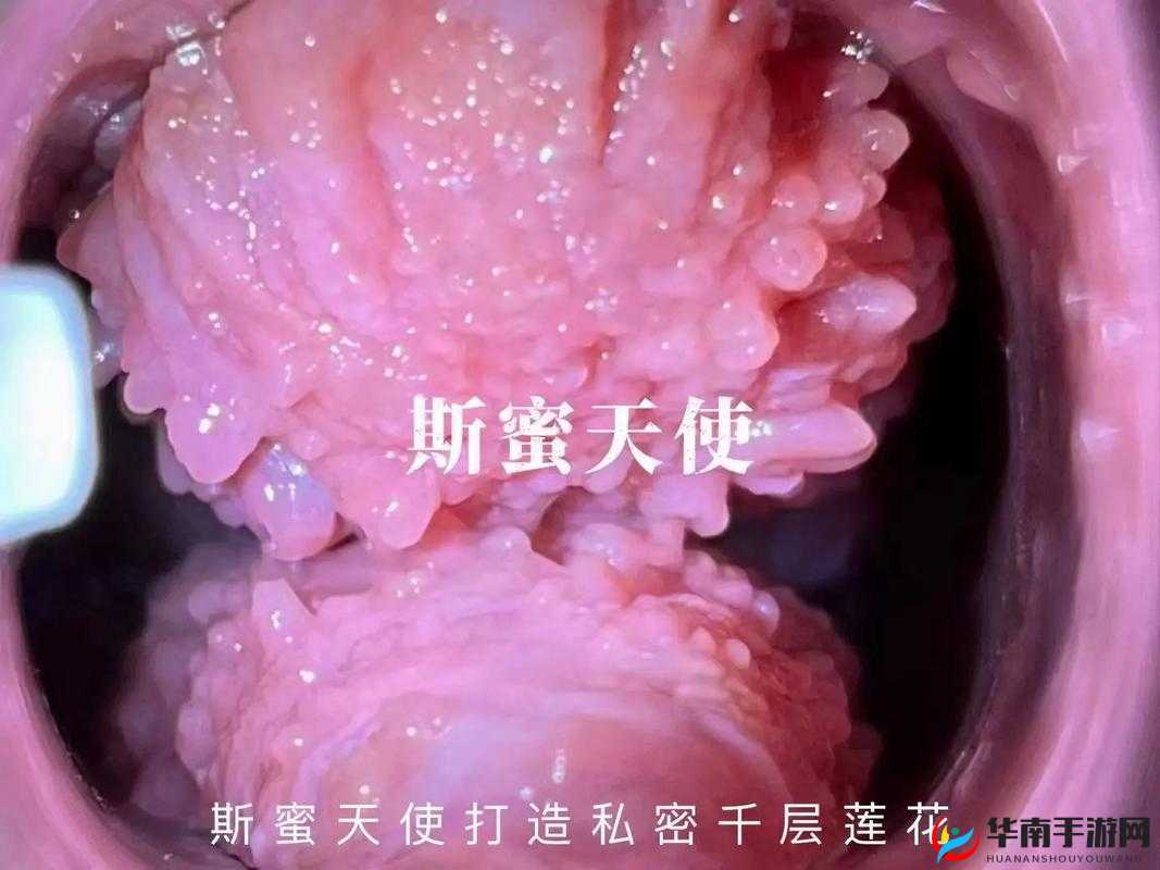 千层莲花裹茎术：一种神奇独特的古老技艺介绍