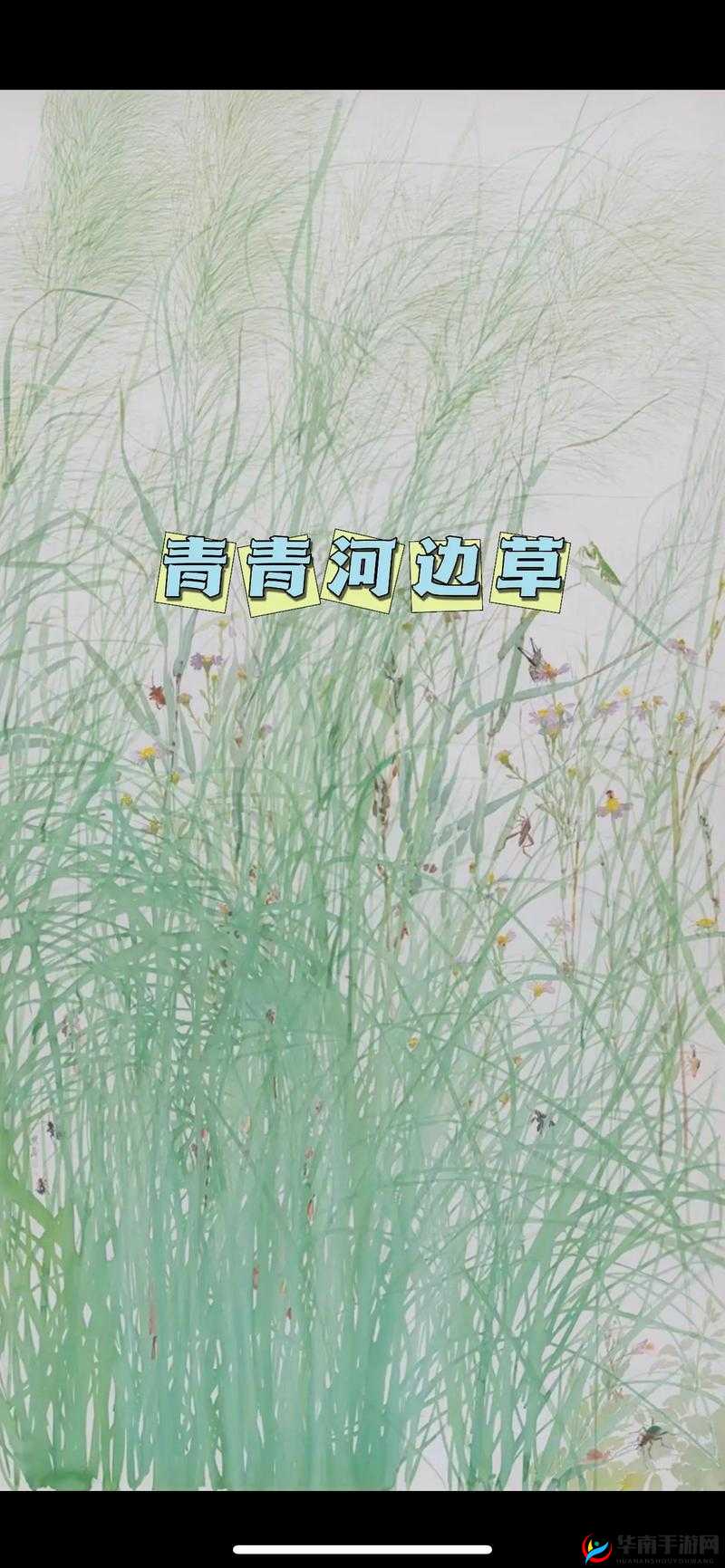 青青河边草高清免费版新闻制作过程之探索与解析