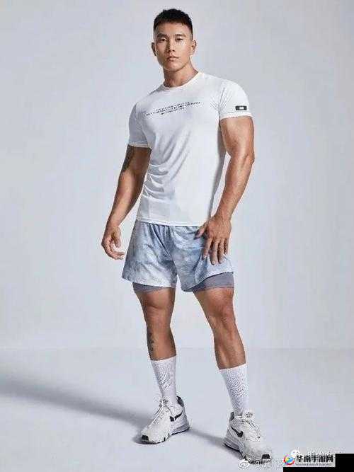 国产猛男 GAYB0Y1069 视频：探索别样魅力与激情