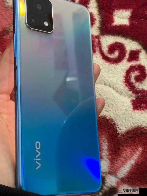 一级成色好的 y31s 标准版评测被迫出台通知:背后缘由究竟为何