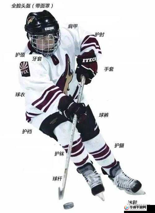 冰球插件 play：让你的冰球体验更精彩更有趣