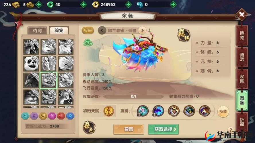 寻仙手游骑宠技能搭配方案推荐