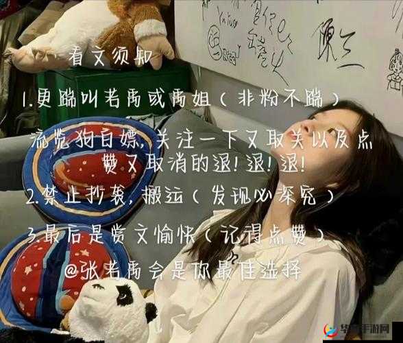 成全看免费观看 MV 之详细解析与相关内容介绍