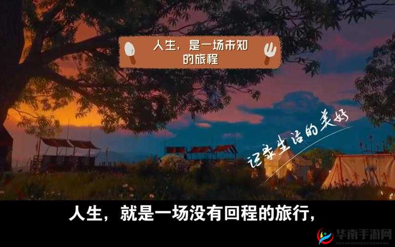 大人的游戏:一场充满未知与挑战的奇妙旅程
