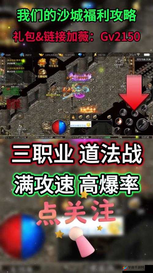 我们的沙城职业介绍，高攻血厚战士职业深度解析