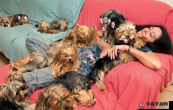 人与禽物另类相关 videos 精彩呈现