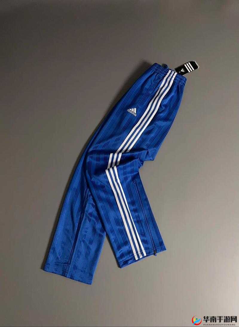 三叶草 M 码和欧洲码区别无法访问-究竟为何这般难获取