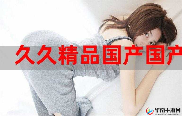 久久久国产精华特点：传承经典彰显独特魅力风采