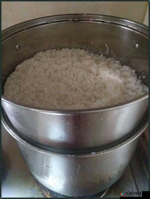 半熟米饭 1984：一部引发深刻思考的经典之作