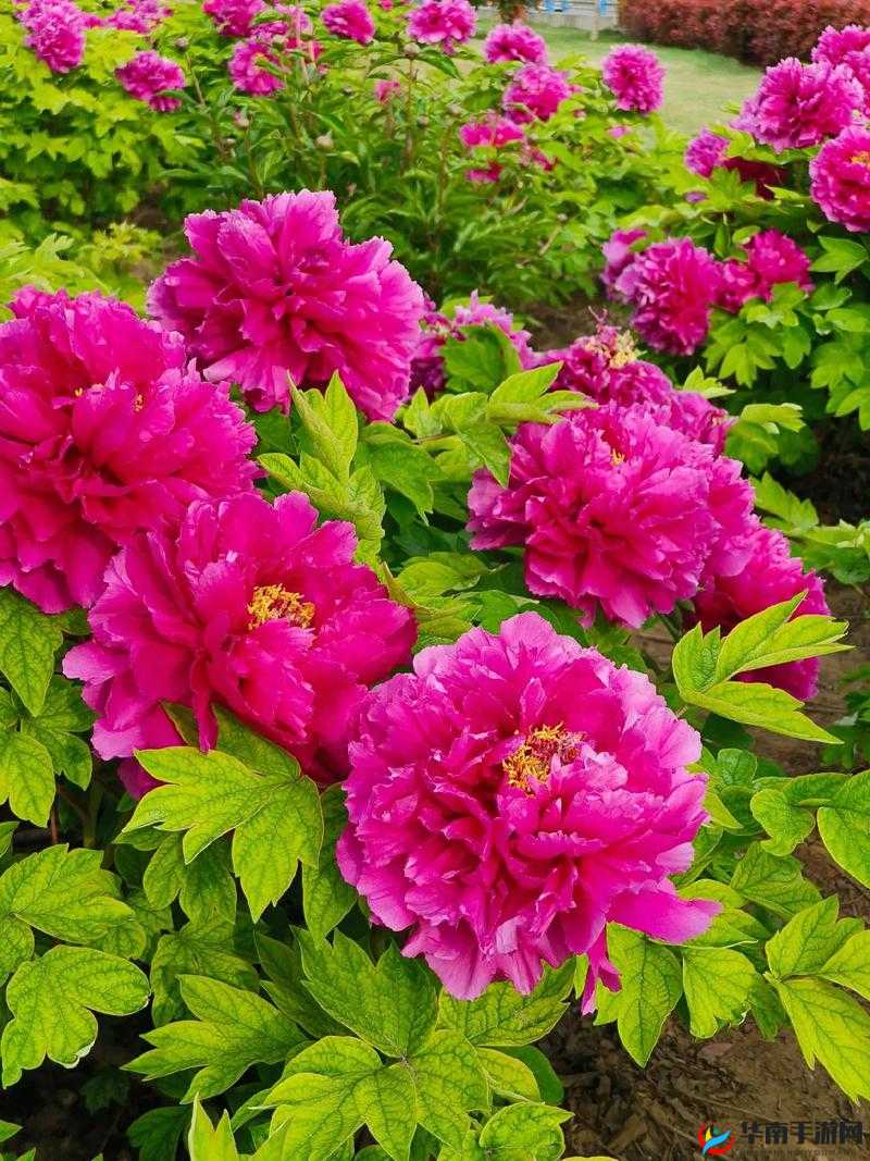 欧洲一卡 2 卡 3 卡 4 卡网站国色天香：探索欧洲美景，感受不一样的风情