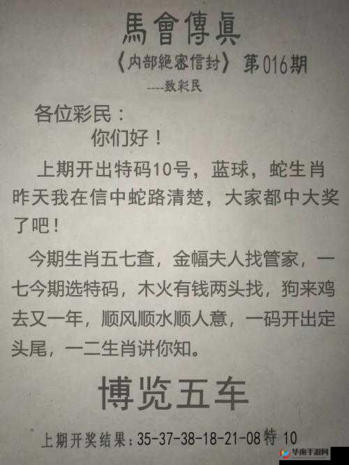 无区码一码二码三码：探索其独特魅力与应用价值