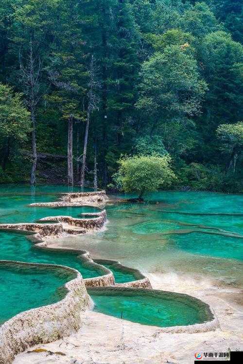 爹爹黄龙直捣溪水潺潺：探寻神秘自然力量的奇幻之旅