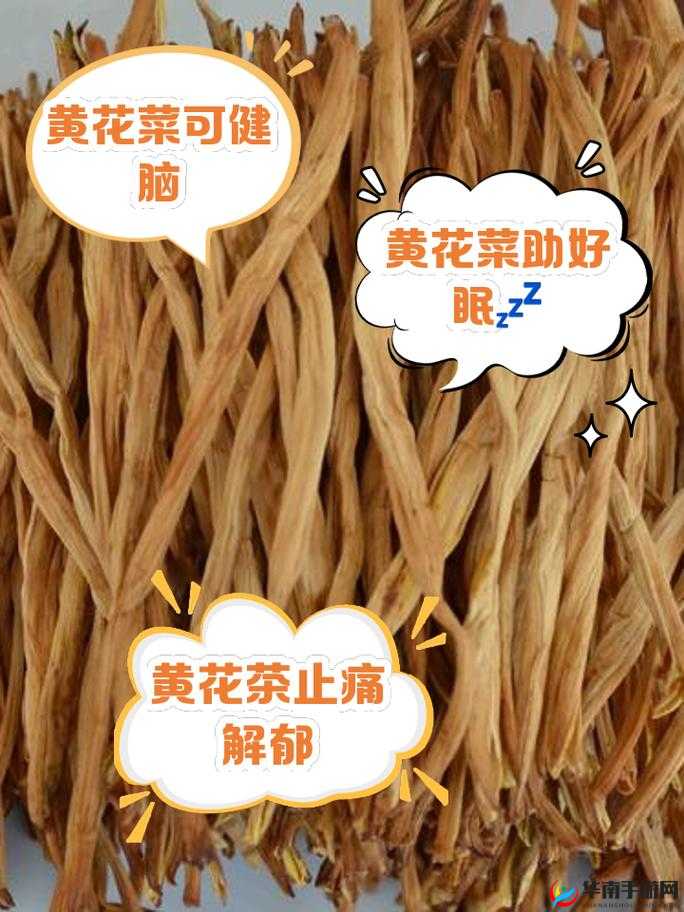 多汁的 omega 一盆黄花菜：这是一个独特且有趣的组合名称