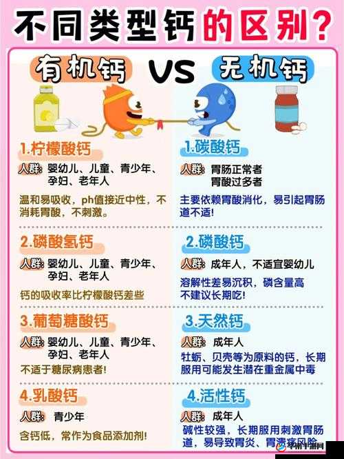 202GGY 钙站：开启钙质补充的全新之旅