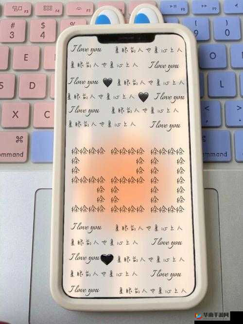 wwww乄入乄X 日本：揭示其背后的神秘与争议