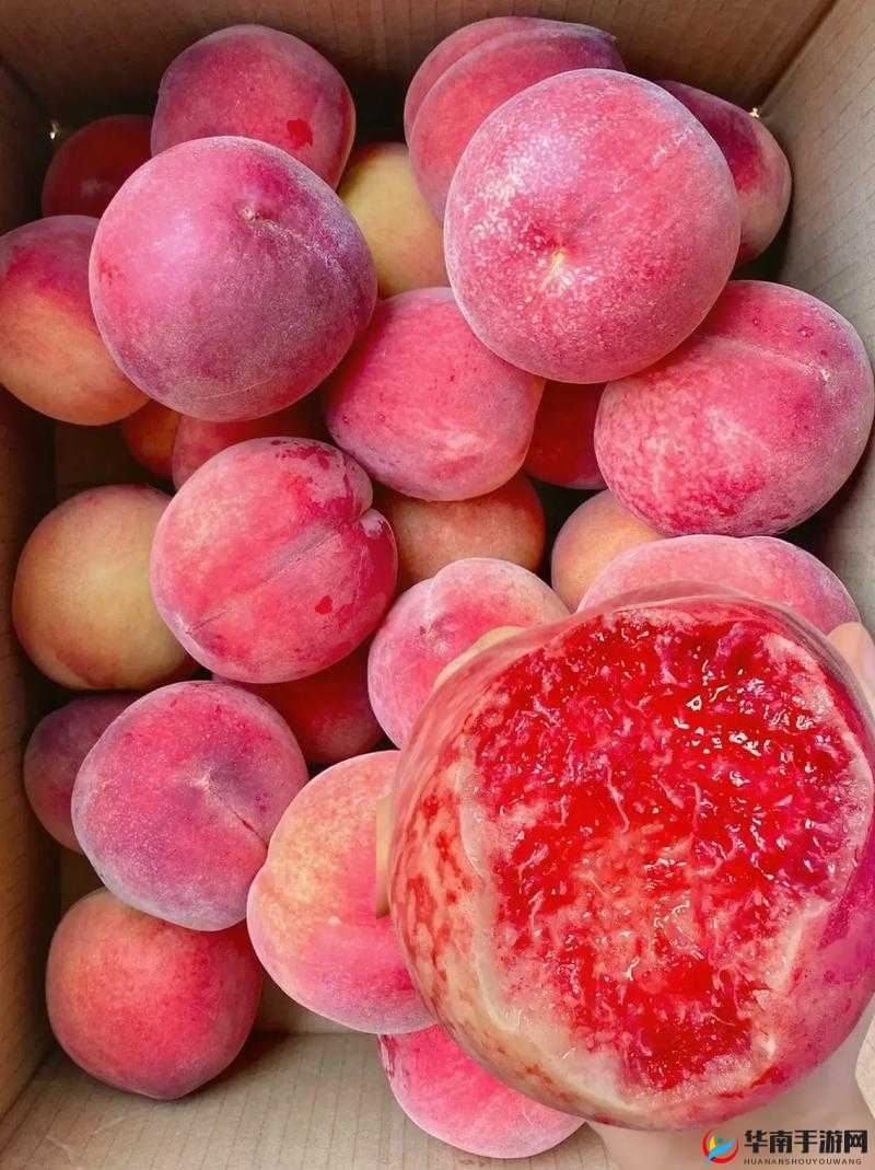 x7x7x7x7 任意噪水蜜桃:口感鲜美令人陶醉的甜蜜水果