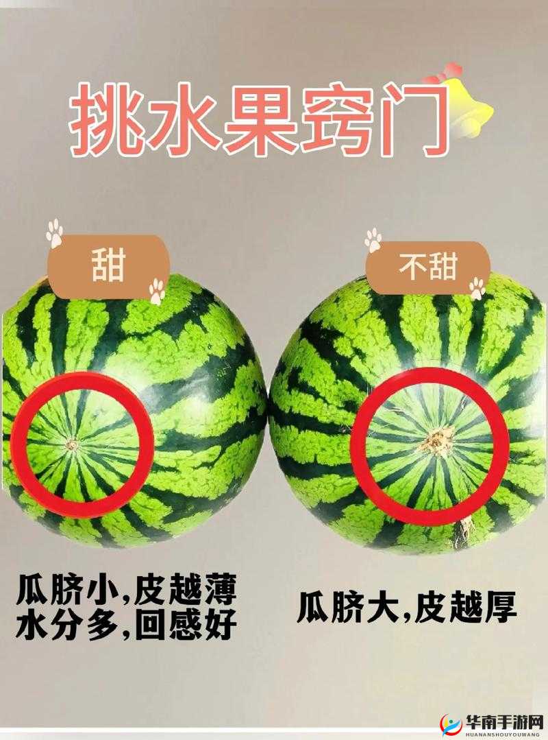 今日大瓜必看大瓜：热门焦点事件全揭秘