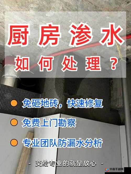 厨房一次又一次的索要摄入:探究背后的深层原因与影响