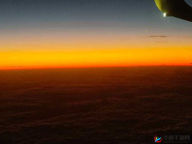 人与兽之间难以言说的复杂情感：从冲突到和解