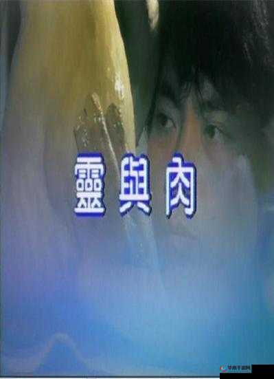 中文天堂在线观看：免费高清影视资源，尽享视觉盛宴