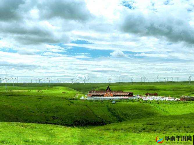 天堂草原角色人气榜：谁是最受欢迎的草原英雄