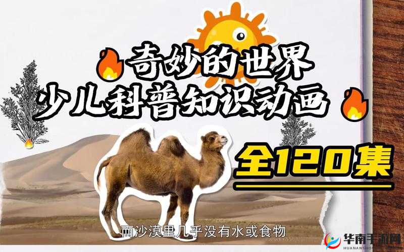 一个上面一个下面嘴巴的奇妙世界探索