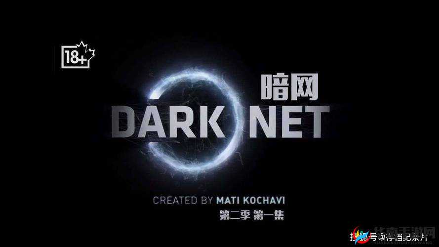 夜间一级黑色网站：隐藏在黑暗中的非法网络世界