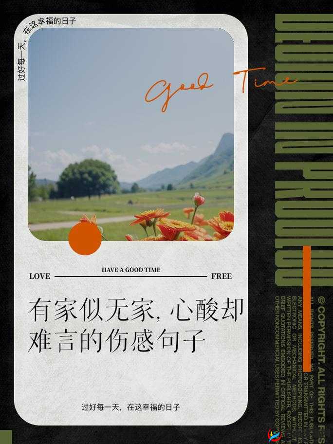 找一个大叔玩玩还是找个家:寻找情感归宿的抉择