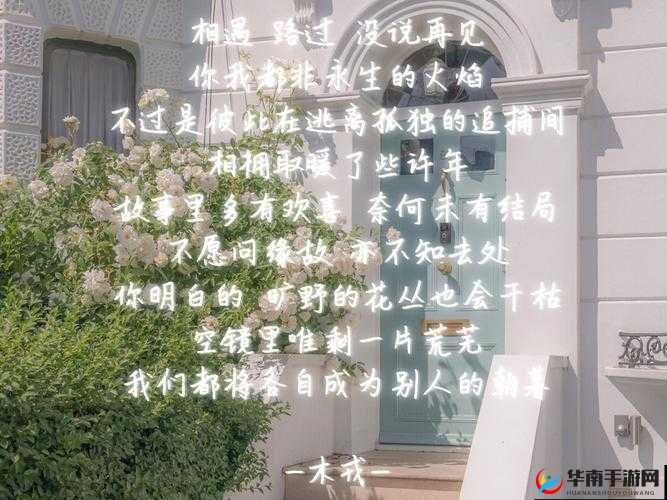 人与猪 fzzo 的奇妙故事：一场独特的相遇与探索