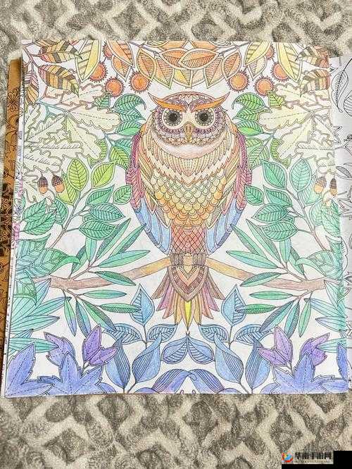 在秘密花园中寻找灵感：探索未知，激发创意