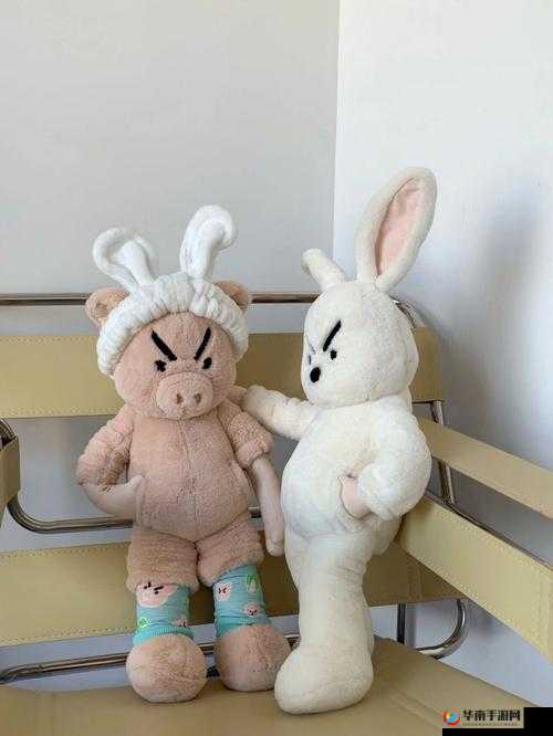 zooskoolknotty 人与猪的奇妙故事:深入了解它们的关系