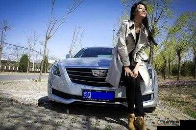 岳妇伦丰满 6XX 引发的热议与思考