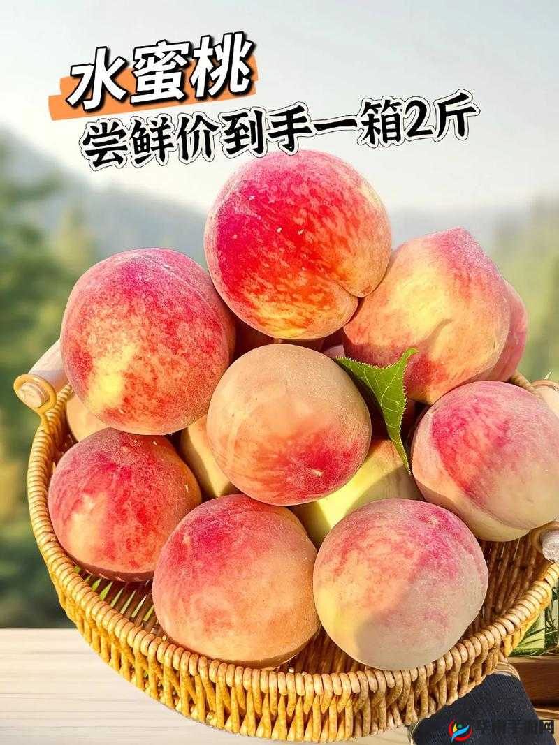 国精产品水蜜桃 hd：带你领略水蜜桃的独特魅力