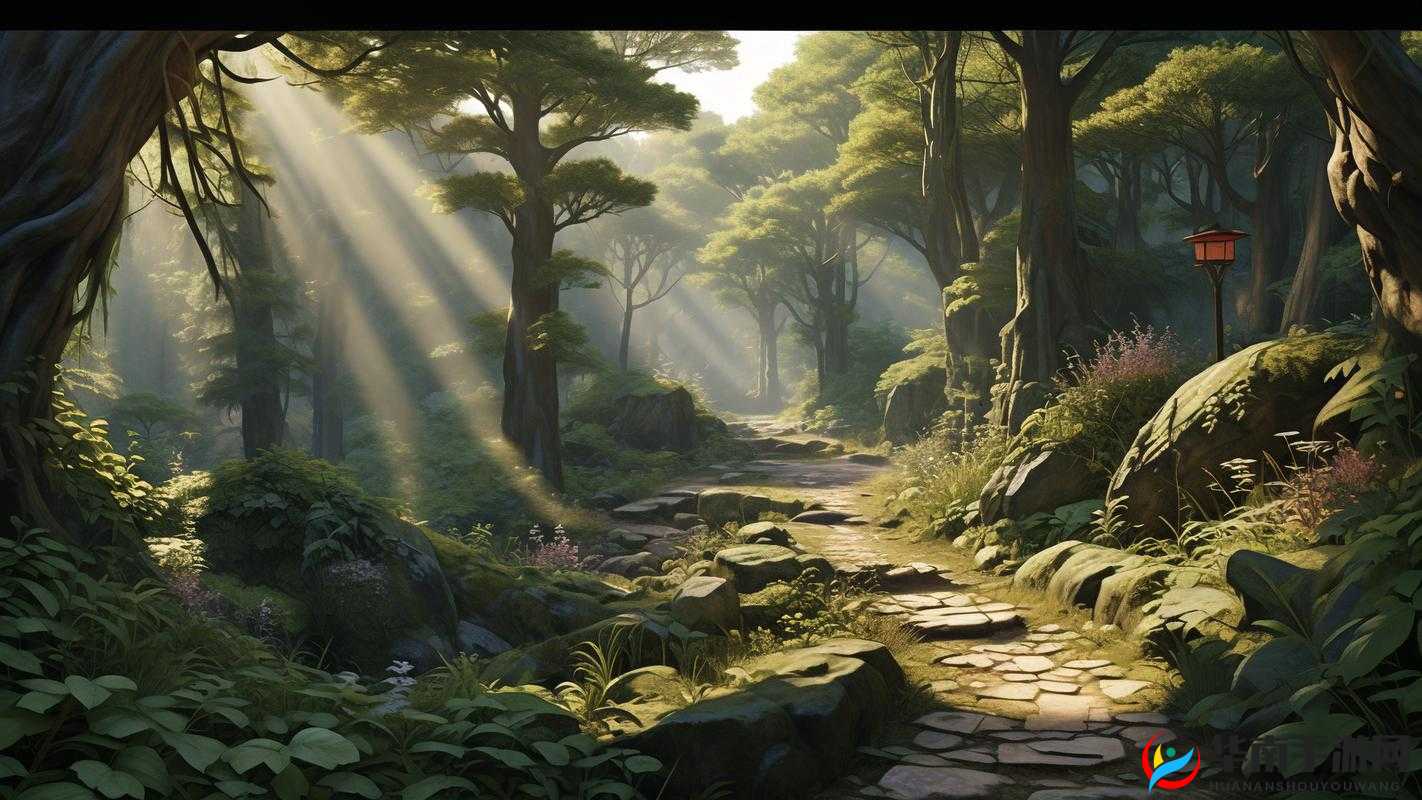 XXXX69 :开启全新精彩之旅的神秘密码