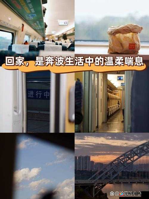 One 一个回家版：踏上温暖归途的心灵之旅