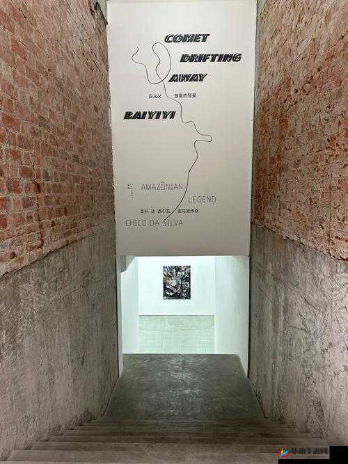 美国乂乂乂相关事件引发的深刻思考与影响探讨