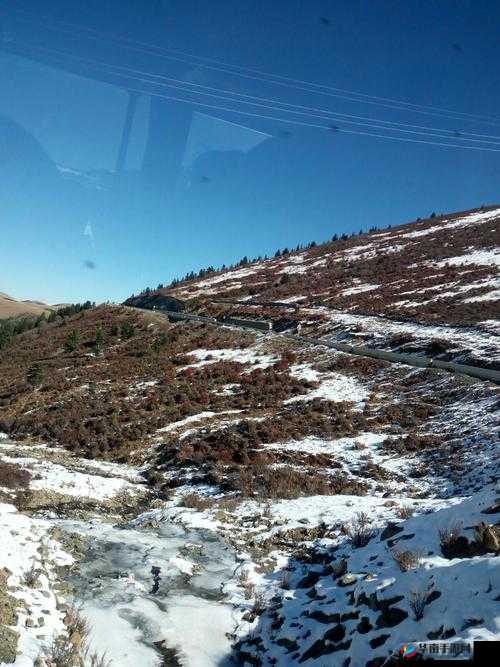 X7X7 任意噪视频：一场挑战视觉与听觉的极限之旅