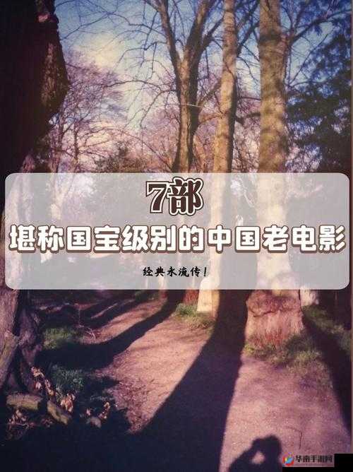 国产电影一曲二曲三曲是什么：深度解析其内涵与魅力