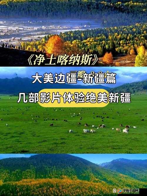 中国新疆超大型影片XXXXXL19免费观看震撼来袭