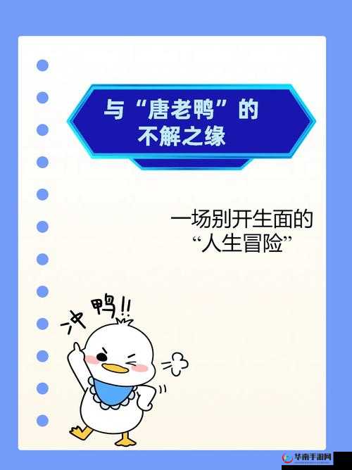 晓可耐勾搭外卖:一场别开生面的意外互动引发关注