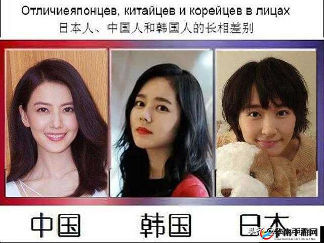 日本欧美韩国的文化艺术发展对比与特色分析