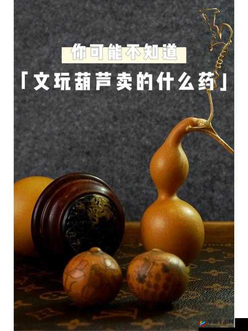 葫芦里面不卖药千片万片你需要：探寻背后的奥秘与意义