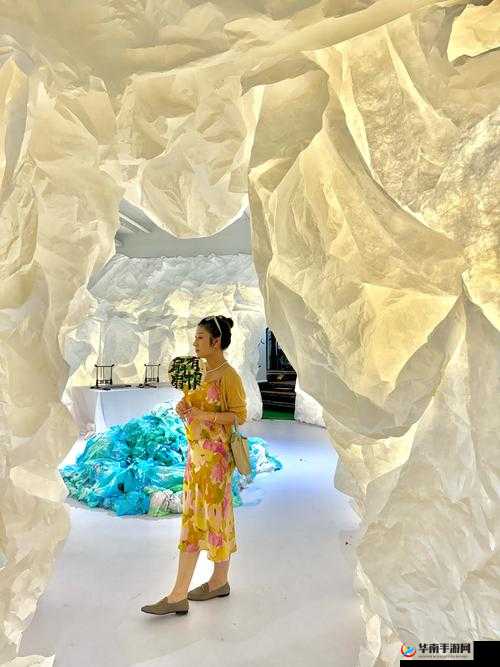 日韩黄视频：探索别样的视觉与感官冲击