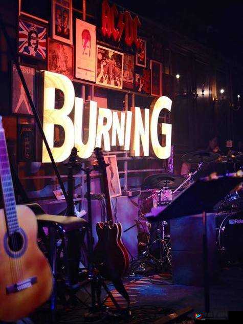 BOSS 俄罗斯 BASS 音乐震撼来袭：独特风格引领潮流