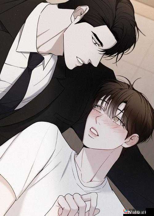 PC 漫画网：海量精彩漫画等您来畅享阅读之旅