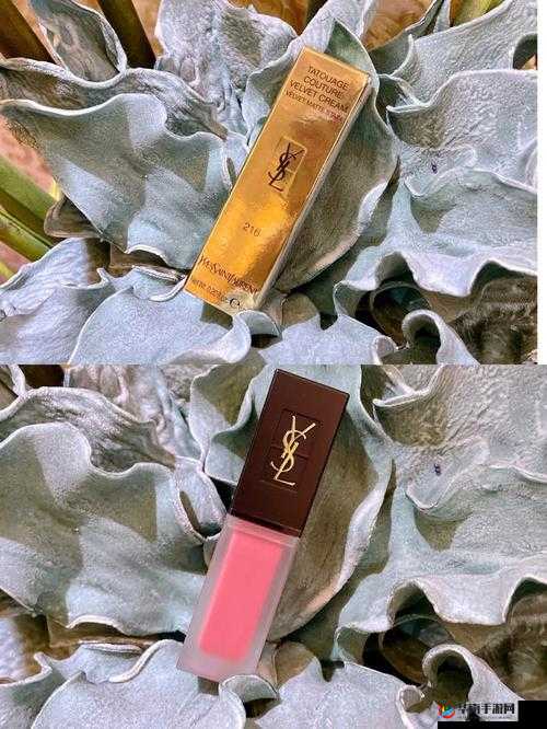 YSL 蜜桃色 6696：邂逅甜蜜的诱惑