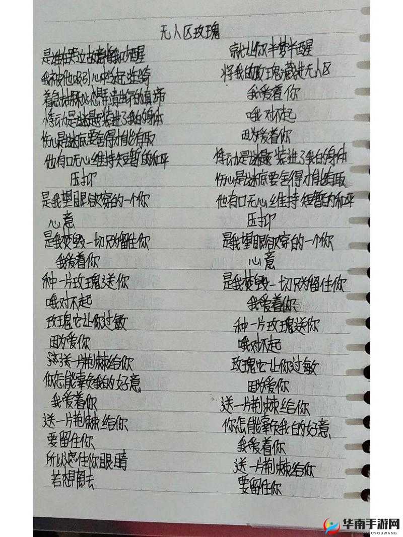 探索神秘花园：无人区玫瑰的 MV 世界